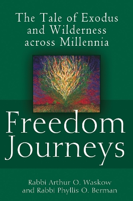 Book cover for Freedom Journeys