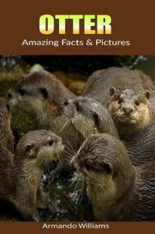 Cover of Otter