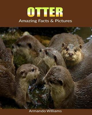 Book cover for Otter