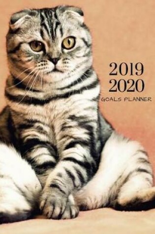 Cover of 2019 2020 Kitten Cat 15 Months Daily Planner