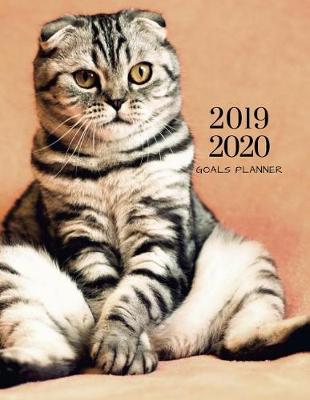 Book cover for 2019 2020 Kitten Cat 15 Months Daily Planner