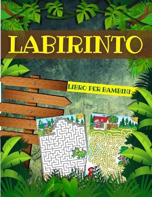 Book cover for Labirinto Libro Per Bambini