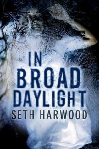 Cover of In Broad Daylight