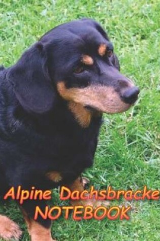 Cover of Alpine Dachsbracke NOTEBOOK