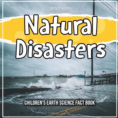 Book cover for Natural Disasters