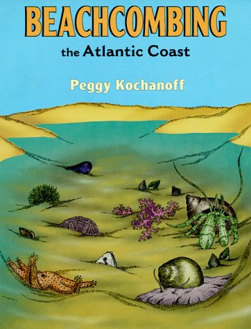 Book cover for Beachcombing the Atlantic Coast