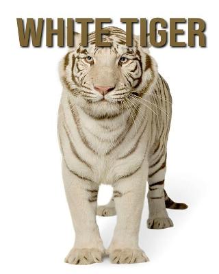 Book cover for White Tiger