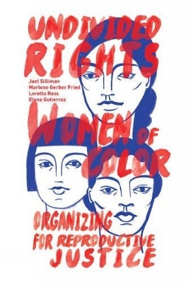 Book cover for Undivided Rights