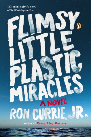 Book cover for Flimsy Little Plastic Miracles