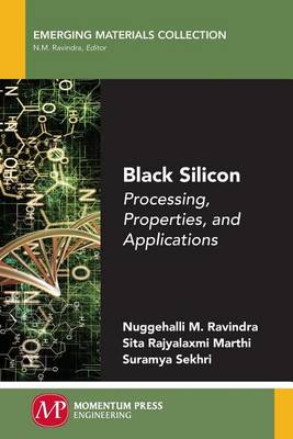 Book cover for Black Silicon