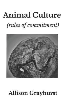 Book cover for Animal Culture (rules of commitment)