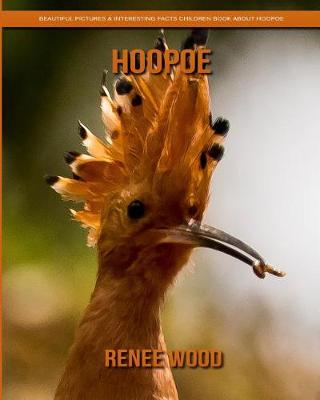 Book cover for Hoopoe