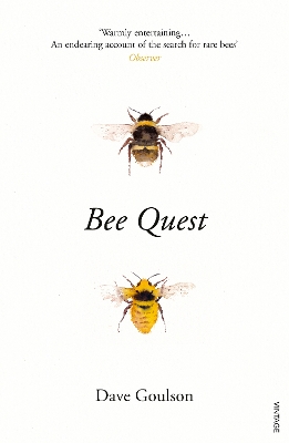 Book cover for Bee Quest