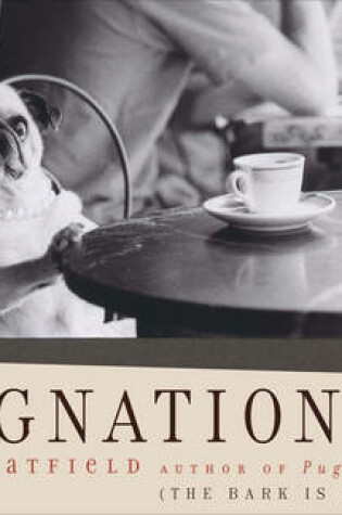 Cover of Pugnation
