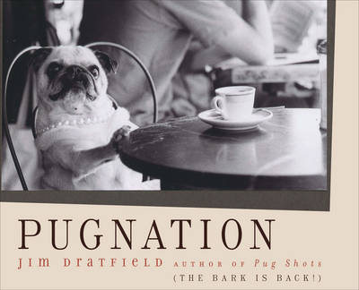 Book cover for Pugnation