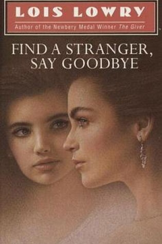 Cover of Find a Stranger, Say Goodbye