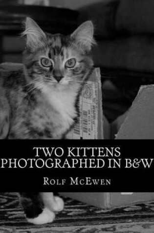 Cover of Two Kittens Photographed in B&W