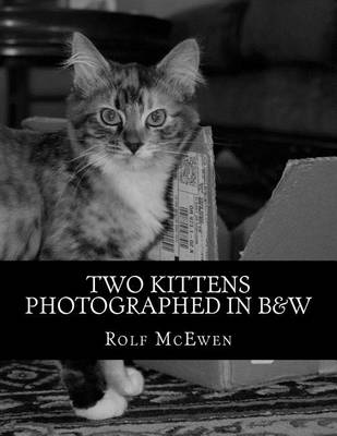 Book cover for Two Kittens Photographed in B&W