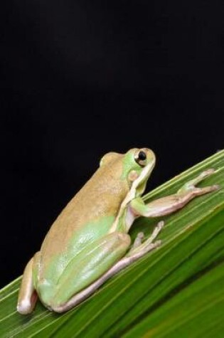 Cover of Tree Frog on a Leaf (for the Love of Animals)