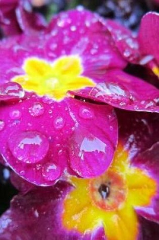 Cover of Primrose Flowers Covered in Rain Drops Journal