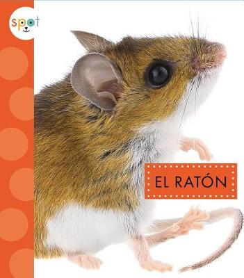 Book cover for El Ratón