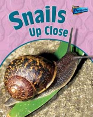 Book cover for Snails Up Close