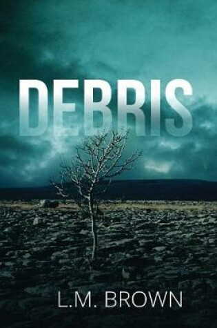 Cover of Debris