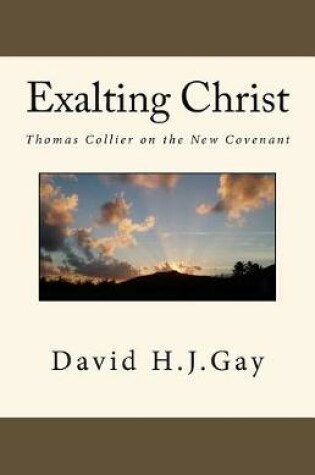 Cover of Exalting Christ