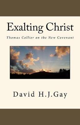 Book cover for Exalting Christ