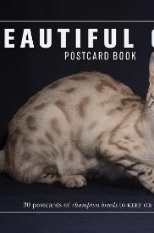 Cover of Beautiful Cats Postcard Book