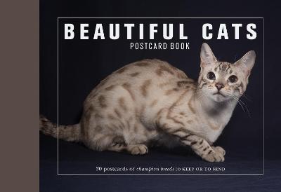 Book cover for Beautiful Cats Postcard Book