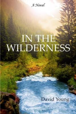 Book cover for In the Wilderness