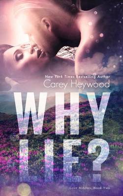 Book cover for Why Lie?