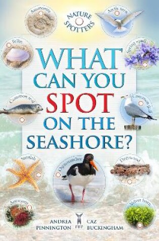 Cover of What Can You Spot on the Seashore?