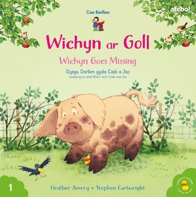 Book cover for Cyfres Cae Berllan: Wichyn ar Goll / Wichyn Goes Missing