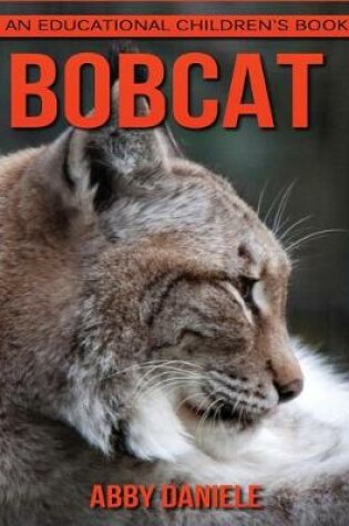 Cover of Bobcat! An Educational Children's Book about Bobcat with Fun Facts & Photos