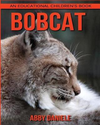 Book cover for Bobcat! An Educational Children's Book about Bobcat with Fun Facts & Photos