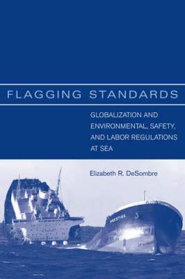 Book cover for Flagging Standards