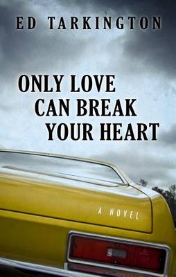 Book cover for Only Love Can Break Your Heart