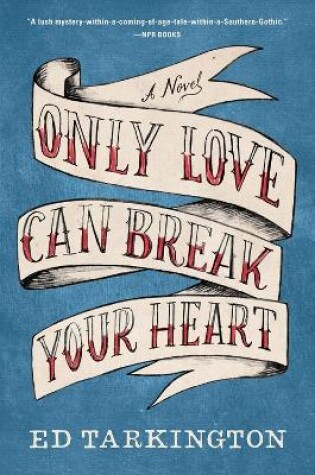 Cover of Only Love Can Break Your Heart