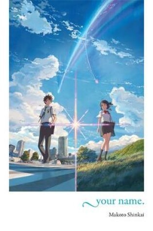Cover of your name. (light novel)