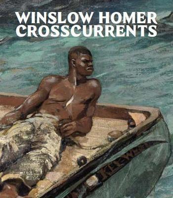 Book cover for Winslow Homer