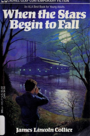 Cover of When the Stars Begin to Fall