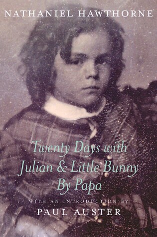 Cover of Twenty Days with Julian & Little Bunny by Papa