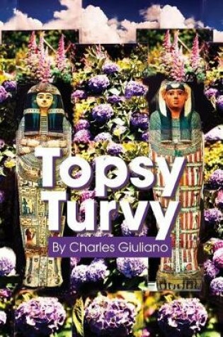 Cover of Topsy Turvy