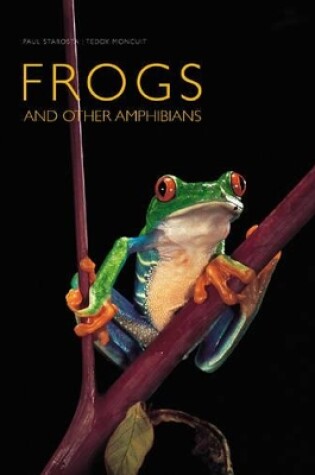 Cover of Frogs and Other Amphibians