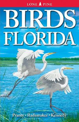 Book cover for Birds of Florida