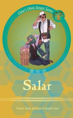 Book cover for Salar