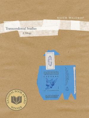 Cover of Transcendental Studies