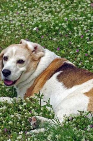 Cover of Beagle Resting in a White Flower Bed Journal